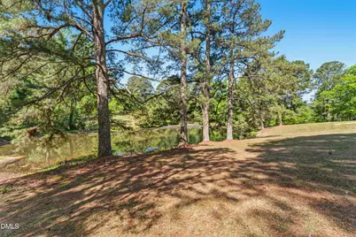 297 Wells Lane, Angier, NC 27501 - Photo 51