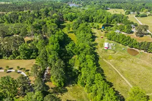 297 Wells Ln, Angier, NC 27501 - Photo 23