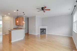 223 Grindstone Dr, Apex, NC 27502 - Photo 21