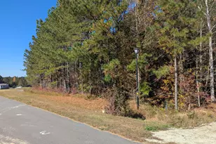 0 Sandy Plains Ln, Warrenton, NC 27589 - Photo 1