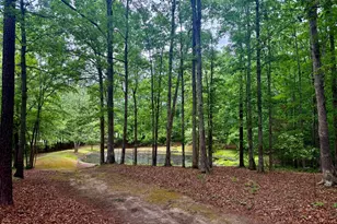 7108 Mallard Crossing Way, Wake Forest, NC 27587 - Photo 59