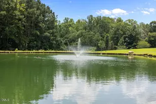 5405 Carbonton Rd, Sanford, NC 27330 - Photo 57