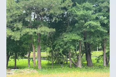 2509 Rosslare Pond Trail, Wendell, NC 27591 - Photo 37