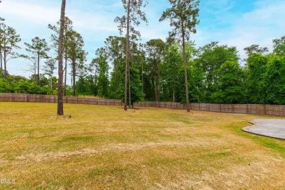 198 S Clearbrook Court, Angier, NC 27501 - Photo 53