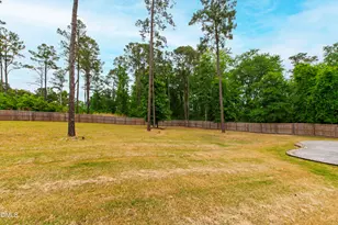198 S Clearbrook Ct, Angier, NC 27501 - Photo 53