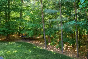 142 W Hatterleigh Ave, Hillsborough, NC 27278 - Photo 43