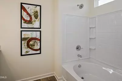 142 Oyster Tabby Drive, Lillington, NC 27546 - Photo 11
