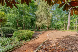 4234 New Hope Springs Dr, Hillsborough, NC 27278 - Photo 39