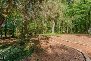 4234 New Hope Springs Dr, Hillsborough, NC 27278 - Photo 41