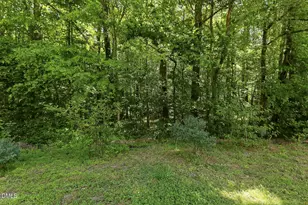 1210 Cranebridge Pl, Chapel Hill, NC 27517 - Photo 43