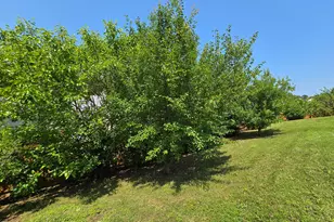 2511 Dalmahoy Ln, Fuquay Varina, NC 27526 - Photo 33
