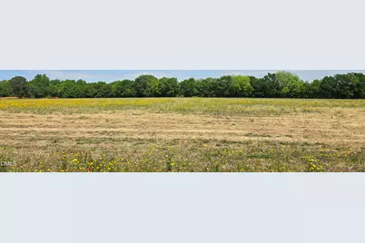 Lot 10 Dogeye Road, Benson, NC 27504 - Photo 13