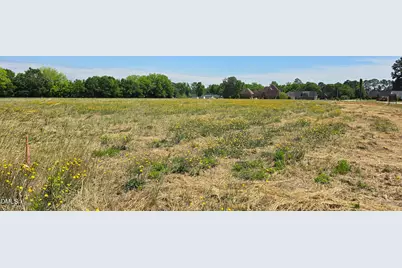 Lot 10 Dogeye Road, Benson, NC 27504 - Photo 17