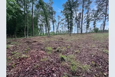 276 Eason Farm Drive, Zebulon, NC 27597 - Photo 31