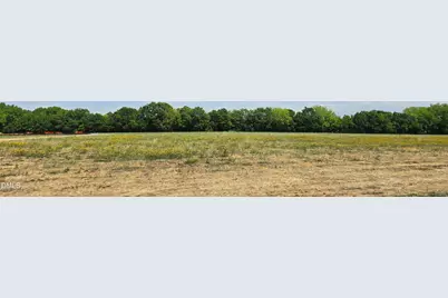 Lot 11 Dogeye Road, Benson, NC 27504 - Photo 11