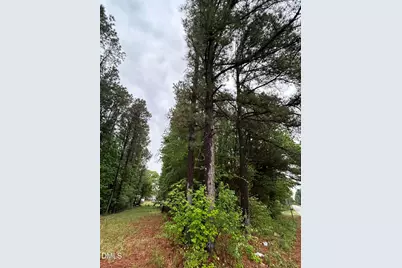 0 W River Road, Franklinton, NC 27525 - Photo 5