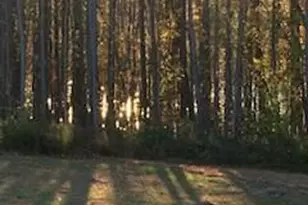675 Anderson Creek Rd, Henderson, NC 27537 - Photo 3