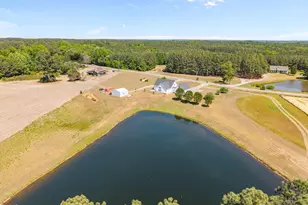 557 Olives Chapel Rd, Apex, NC 27502 - Photo 37