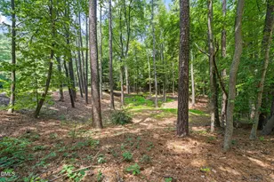 1401 Old Trinity Cir, Raleigh, NC 27607 - Photo 83