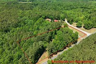 393 Gum Springs Church Rd, Moncure, NC 27559 - Photo 47