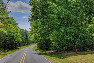 393 Gum Springs Church Rd, Moncure, NC 27559 - Photo 43