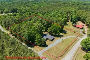 393 Gum Springs Church Rd, Moncure, NC 27559 - Photo 45