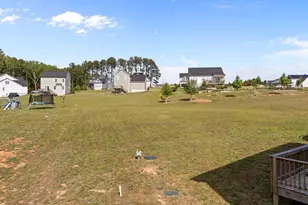 220 Brisbane Dr, Zebulon, NC 27597 - Photo 19