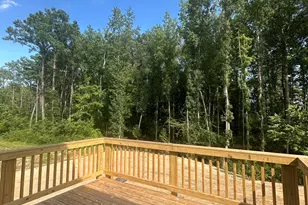 250 Rising Star Dr Dr, Clayton, NC 27520 - Photo 19