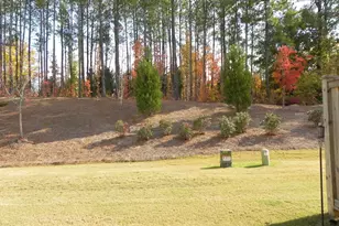 1409 Corwith Dr, Morrisville, NC 27560 - Photo 17