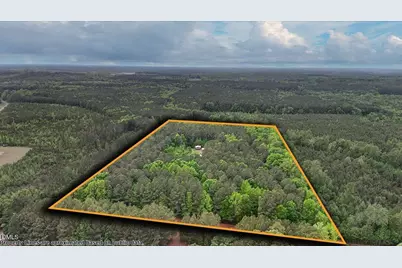 412 County Home Road, Warrenton, NC 27589 - Photo 45