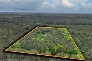 412 County Home Rd, Warrenton, NC 27589 - Photo 45