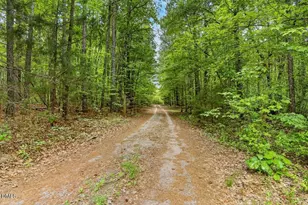 412 County Home Rd, Warrenton, NC 27589 - Photo 43