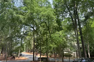 73 Fernwood Ln, Chapel Hill, NC 27516 - Photo 17