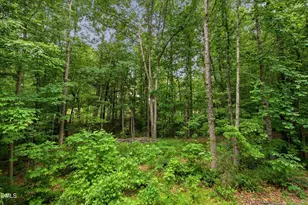 314 Bridgegate Dr, Cary, NC 27519 - Photo 45