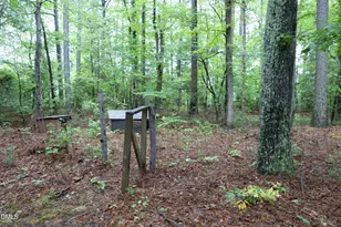 9816 Leslie Dr, Chapel Hill, NC 27516 - Photo 29