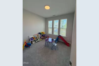 503 Ressler Street, Holly Springs, NC 27540 - Photo 19