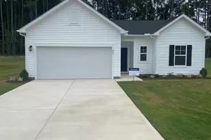 288 Digging Time Ave, Pine Level, NC 27569 - Photo 1