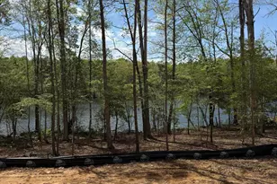 341 Mollie Mdw Dr, Zebulon, NC 27597 - Photo 3