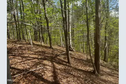 16 Quail Hollow Drive, Roxboro, NC 27574 - Photo 3