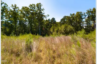 152 Bird Dog Drive, Angier, NC 27501 - Photo 31