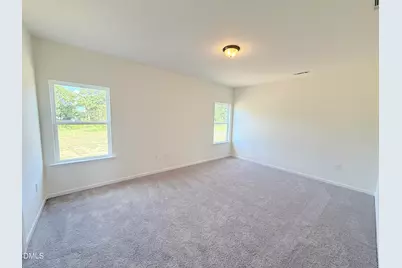 308 Spirit Springs Road, Smithfield, NC 27577 - Photo 21