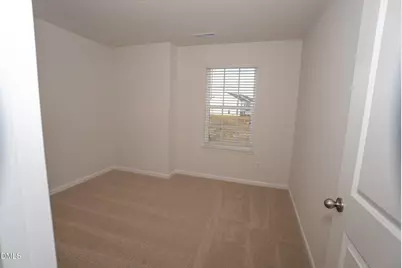 35 Virgo Drive, Angier, NC 27501 - Photo 49