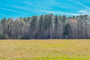 1001 Charlie Reade, Timberlake, NC 27583 - Photo 63