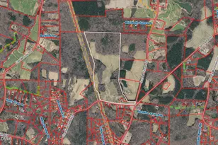 1001 Charlie Reade, Timberlake, NC 27583 - Photo 15