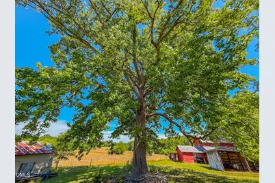 1001 Charlie Reade, Timberlake, NC 27583 - Photo 61