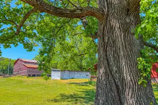 1001 Charlie Reade, Timberlake, NC 27583 - Photo 53