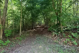 327 Shady Oak Rd, Roxboro, NC 27574 - Photo 53