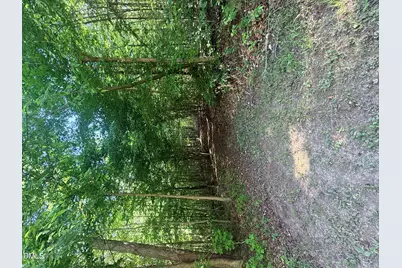 327 Shady Oak Road, Roxboro, NC 27574 - Photo 53