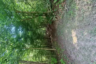 327 Shady Oak Rd, Roxboro, NC 27574 - Photo 53