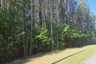 0 Arborgate Rd, Pittsboro, NC 27312 - Photo 1